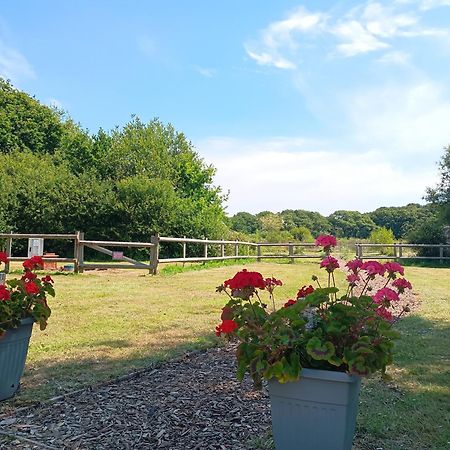 Cosy Cabins At Westfield Farm, Isle Of Wight Yarmouth  Exterior foto
