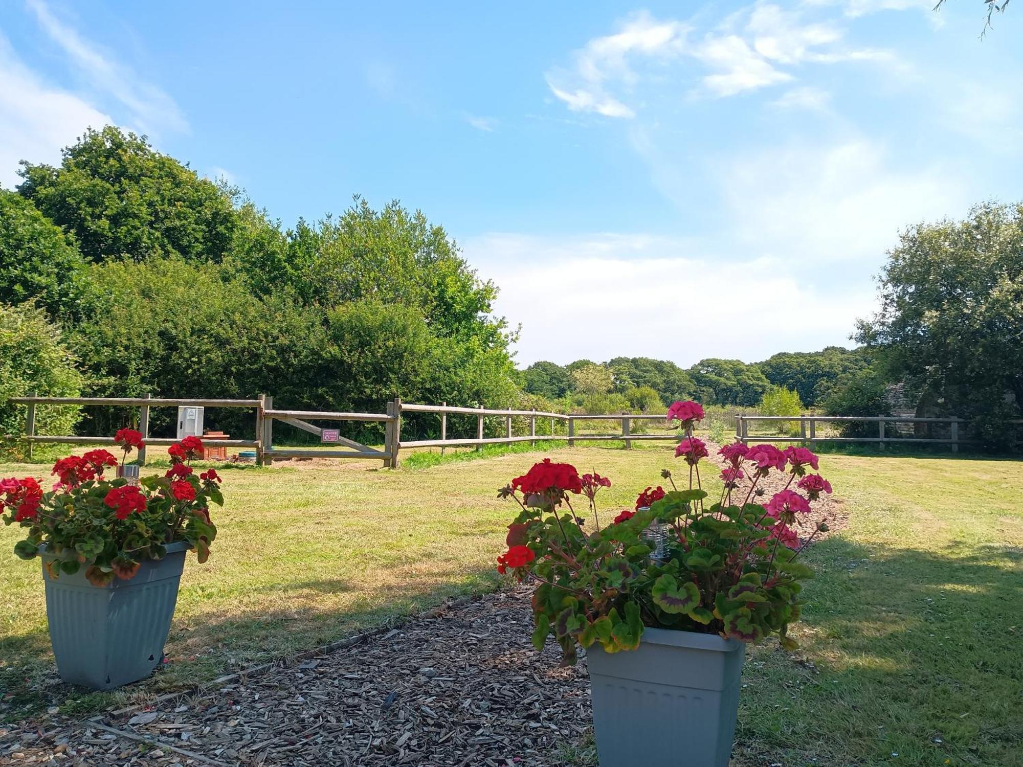 Cosy Cabins At Westfield Farm, Isle Of Wight Yarmouth  Exterior foto